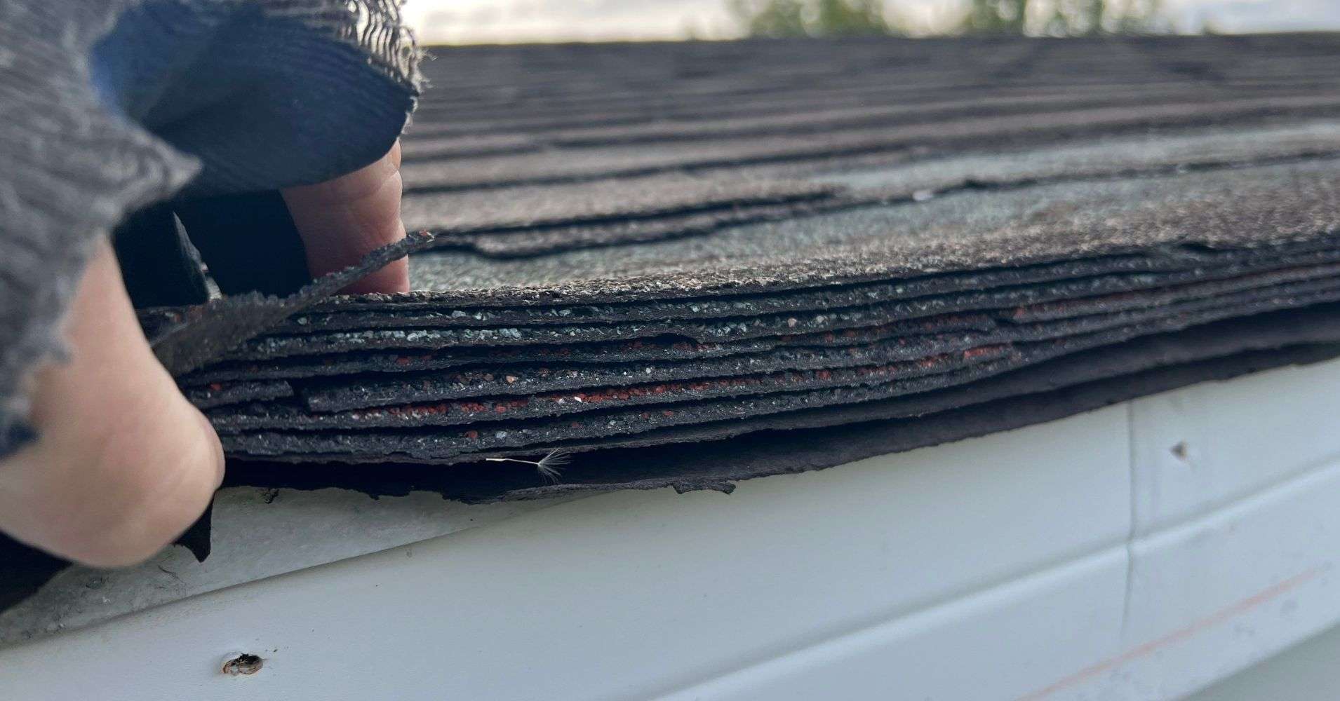 Bad Roofer - Insurance Claim