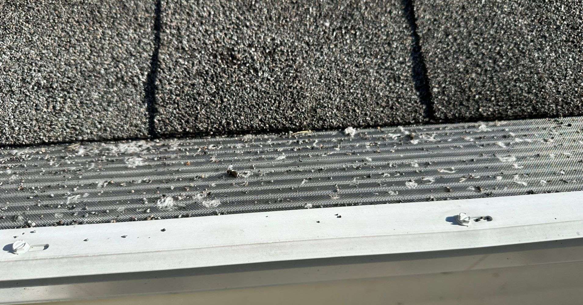 Granules - Roof Storm Damage