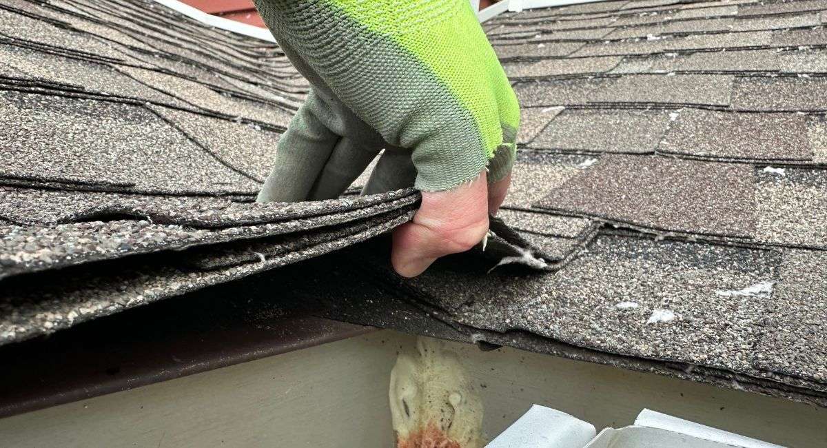 Home Inspection vs Roof Inspection - Detailed
