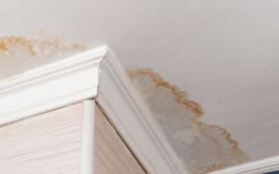 Guide to Drywall Repair and Painting After a Roof Leak: Handling Damage and Insurance