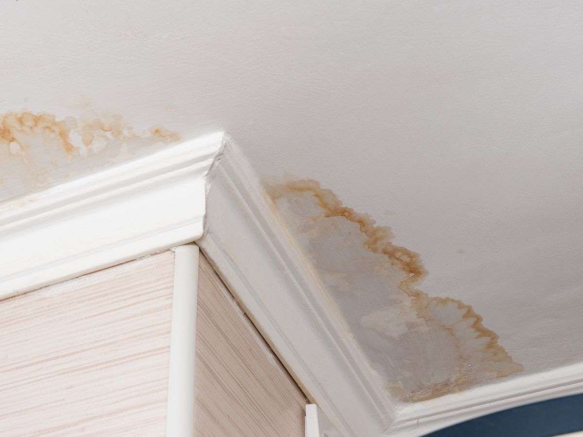 Drywall Repair and Painting - Damage Assesment