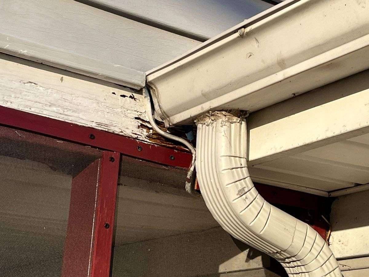 Gutter Guard - Prevent Damage to Your Gutters