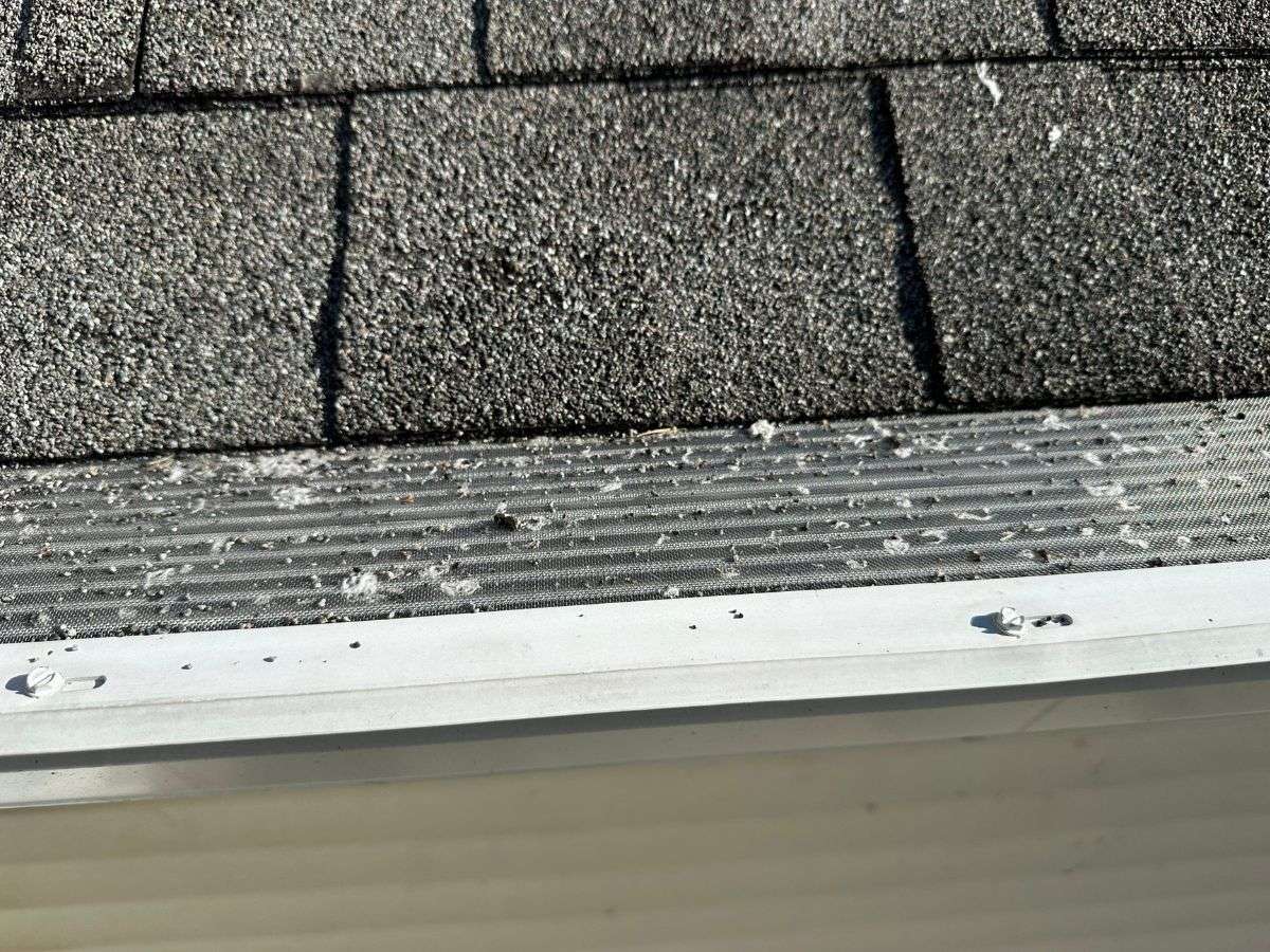 Gutter Guards - Reasons Why Their Important