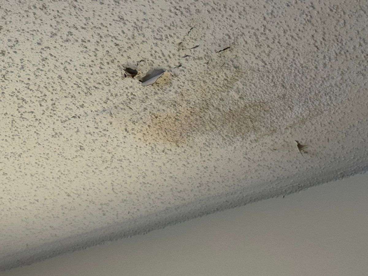 Roof Leak Repair - Ceiling Cracks