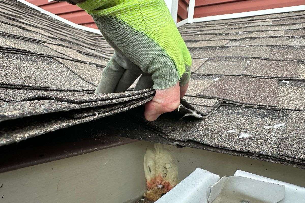 DIY Roof Replacement