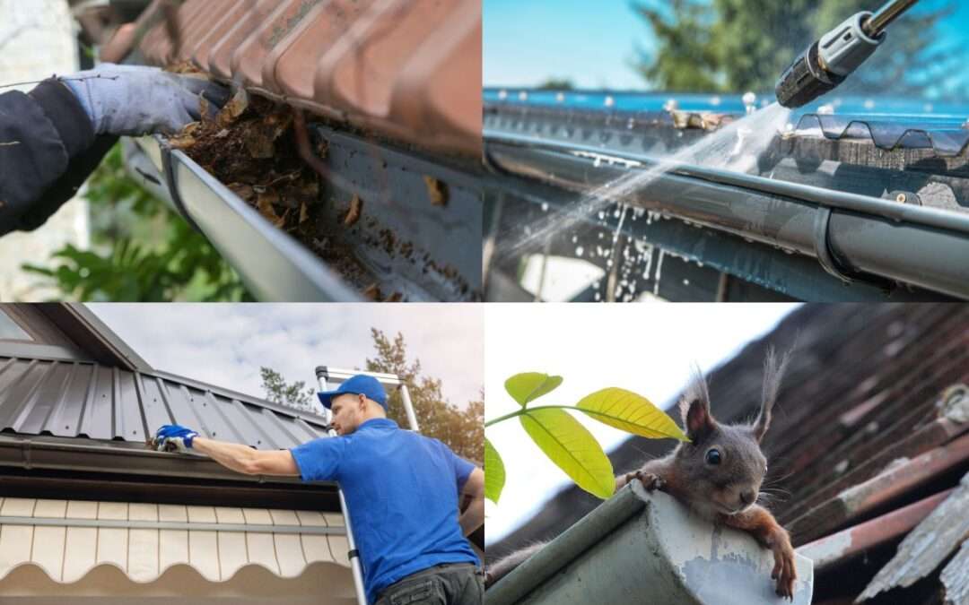 How Often Should I Clean My Gutters?