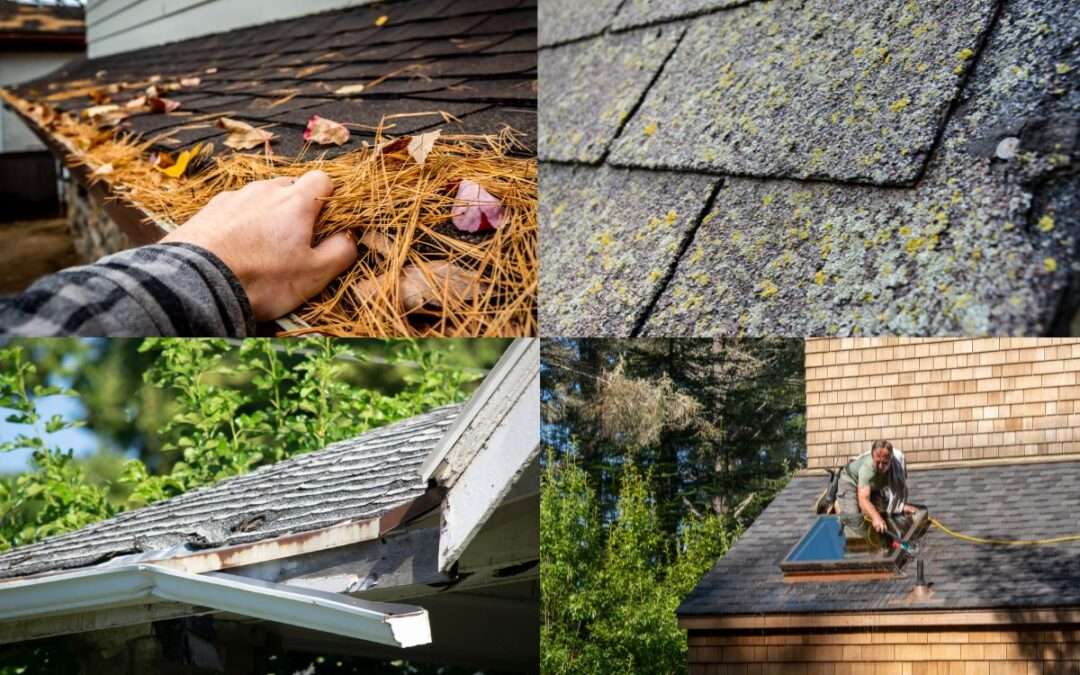 Stain Removal and Roof Cleaning on Asphalt Roofs