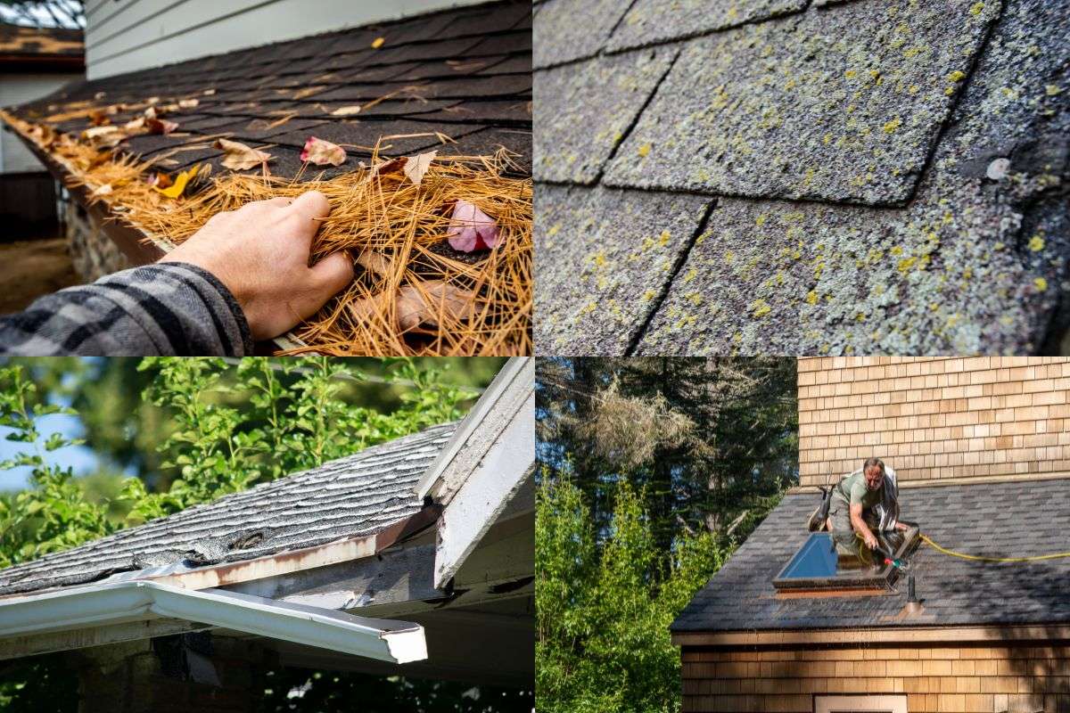 Roof Cleaning Solutions